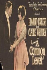 Poster for A Common Level