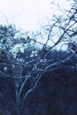 Poster for Vineyard I