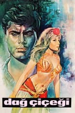 Poster for Dağ Çiçeği