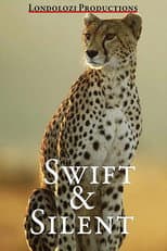 Poster for Swift and Silent