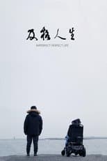 Poster for Imperfect Perfect Life