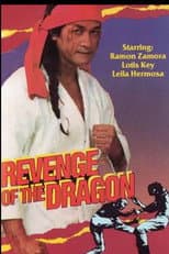 Poster for Revenge of the Dragon
