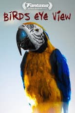 Poster for Bird's Eye View