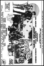 Poster for Wrong Ranger