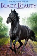 Poster for The Adventures of Black Beauty