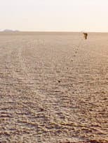 Poster for Of Seeing in Salt. Or: Ten Strategies to Face the Own Finitude in an Infinity