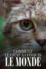 Poster for Comment le chat a conquis le monde