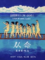 Poster for Goodbye! Lin Gang!