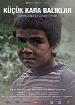 Poster for Little Black Fishes