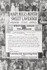 Poster for Sweet Lavender