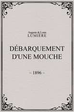 Poster for Lyon: Débarquement d'une mouche