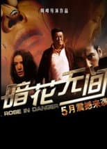 Poster for 暗花无间
