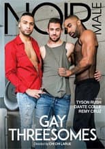 Poster for Gay Threesomes