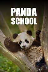 Poster for Panda School