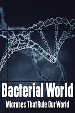 Poster for Bacterial World
