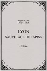 Poster for Lyon : sauvetage de lapins