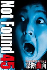 Poster for Not Found 45
