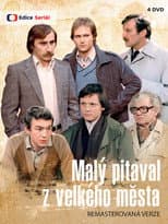 Poster for Malý pitaval z velkého města