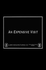 Poster for An Expensive Visit
