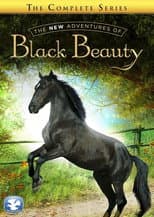 Poster for The New Adventures of Black Beauty