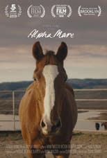 Poster for Alpha Mare