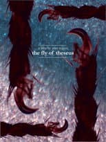 Poster for The Fly of Theseus