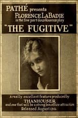 Poster for The Fugitive