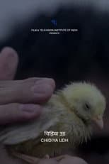 Poster for Fly, Bird