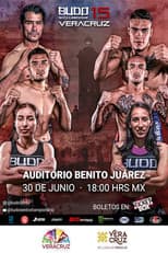 Poster for Budo Sento Championship 15