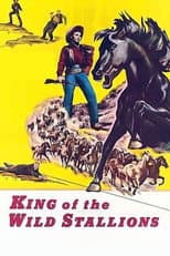 Poster for King of the Wild Stallions