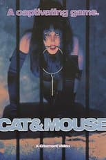Poster for Cat & Mouse