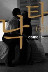 Poster for Camel(s)