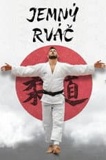 Poster for The Gentle Fighter