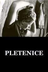 Poster for The Plaits