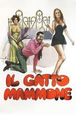 Poster for Il gatto mammone