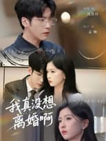 Poster for 我真没想离婚啊