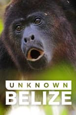 Poster for Unknown Belize