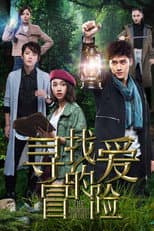 Poster for The Adventure for Love