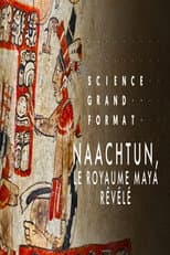 Poster for Naachtun, le royaume maya révélé