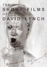 Poster for The Short Films of David Lynch