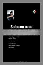 Poster for Solos en casa