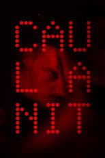 Poster for Night Falls