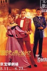 Poster for In the Amber-Hued Rain