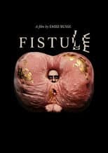 Poster for FISTULE