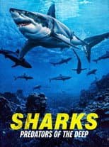 Poster for Sharks: Predators of the Deep