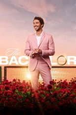 Poster for Season 28