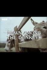 Poster for Down Among the Donkeys