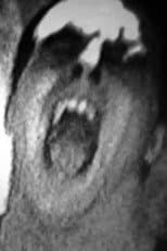 Poster for Dont Shout