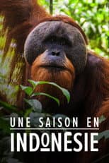 Poster for Une saison en Indonésie