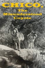 Poster for Chico, the Misunderstood Coyote
